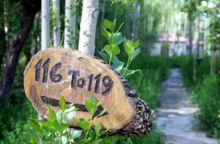 Eco Poplar Resort, Leh 4